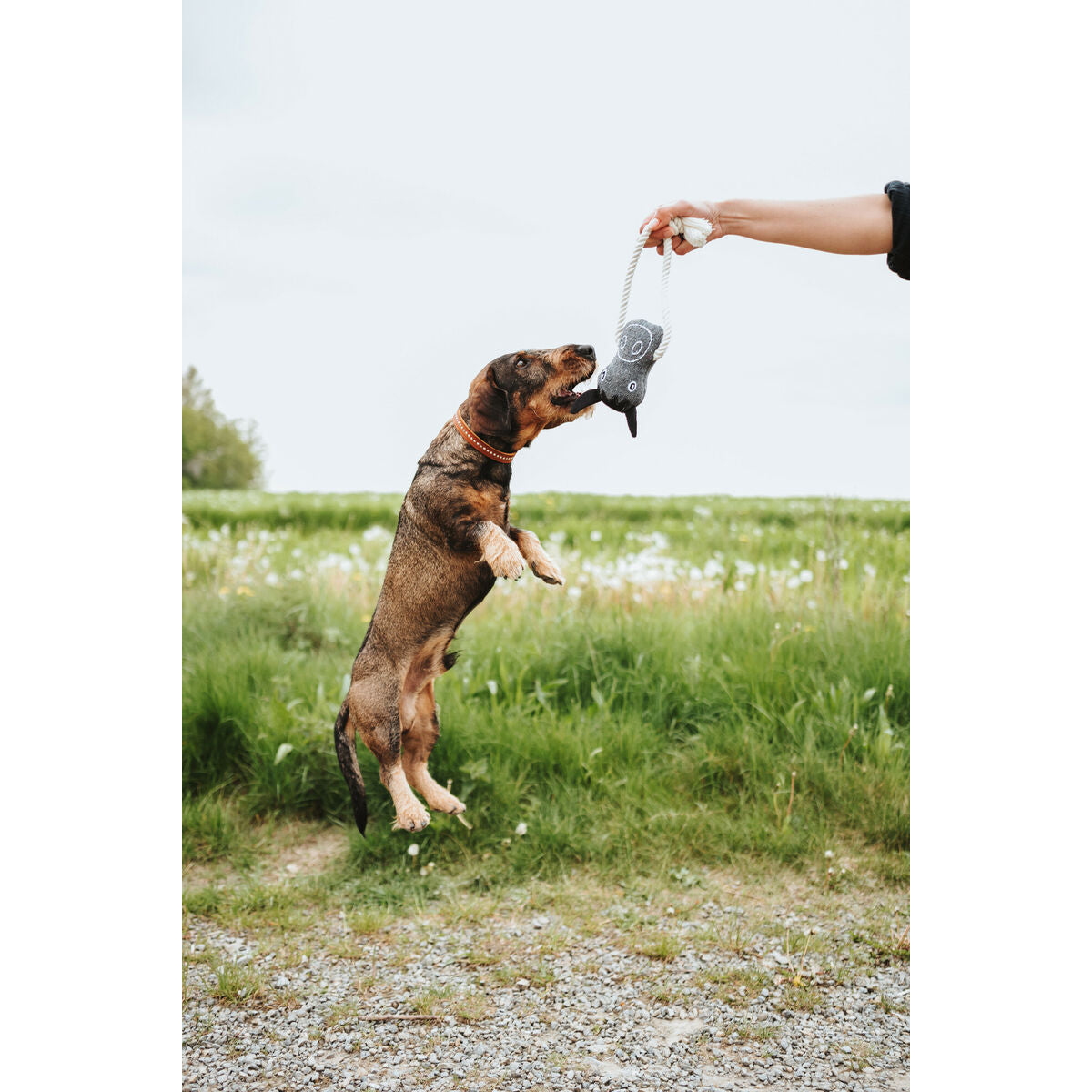 V4H8390ABE4B212883640675695653ECEBBR5574763P2