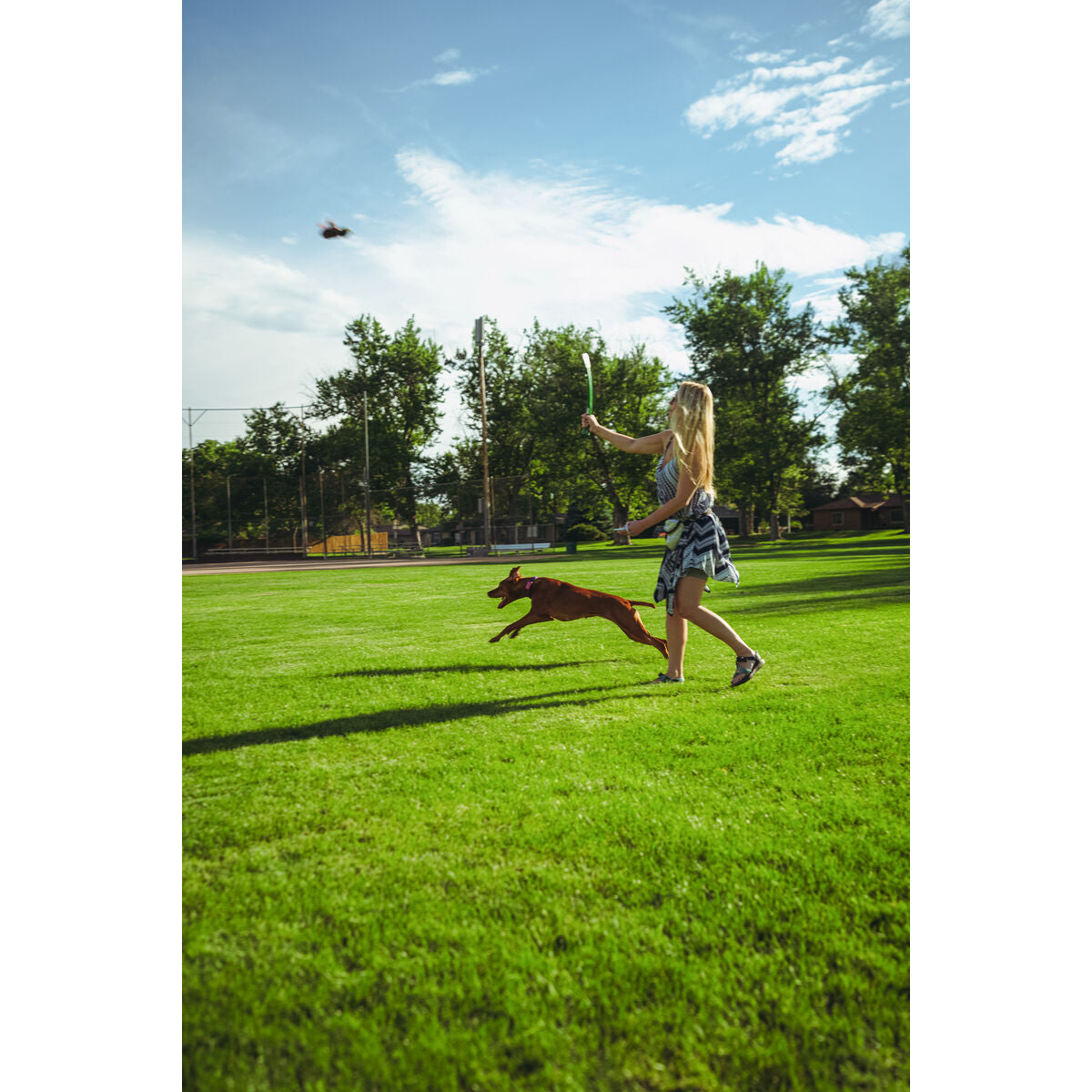 V6HBA1138760C29CBA0393E13926BD63E9AR5333753P6