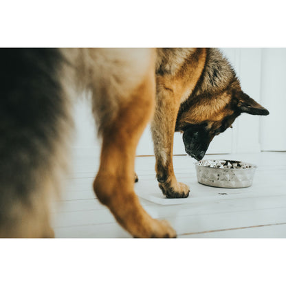 V6H56D6742BEE5E02847423AE18B4C9B827R4438110P4