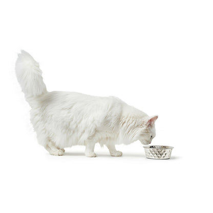 V7H28340A6A63423D240E207EE967F22366R4438064P4