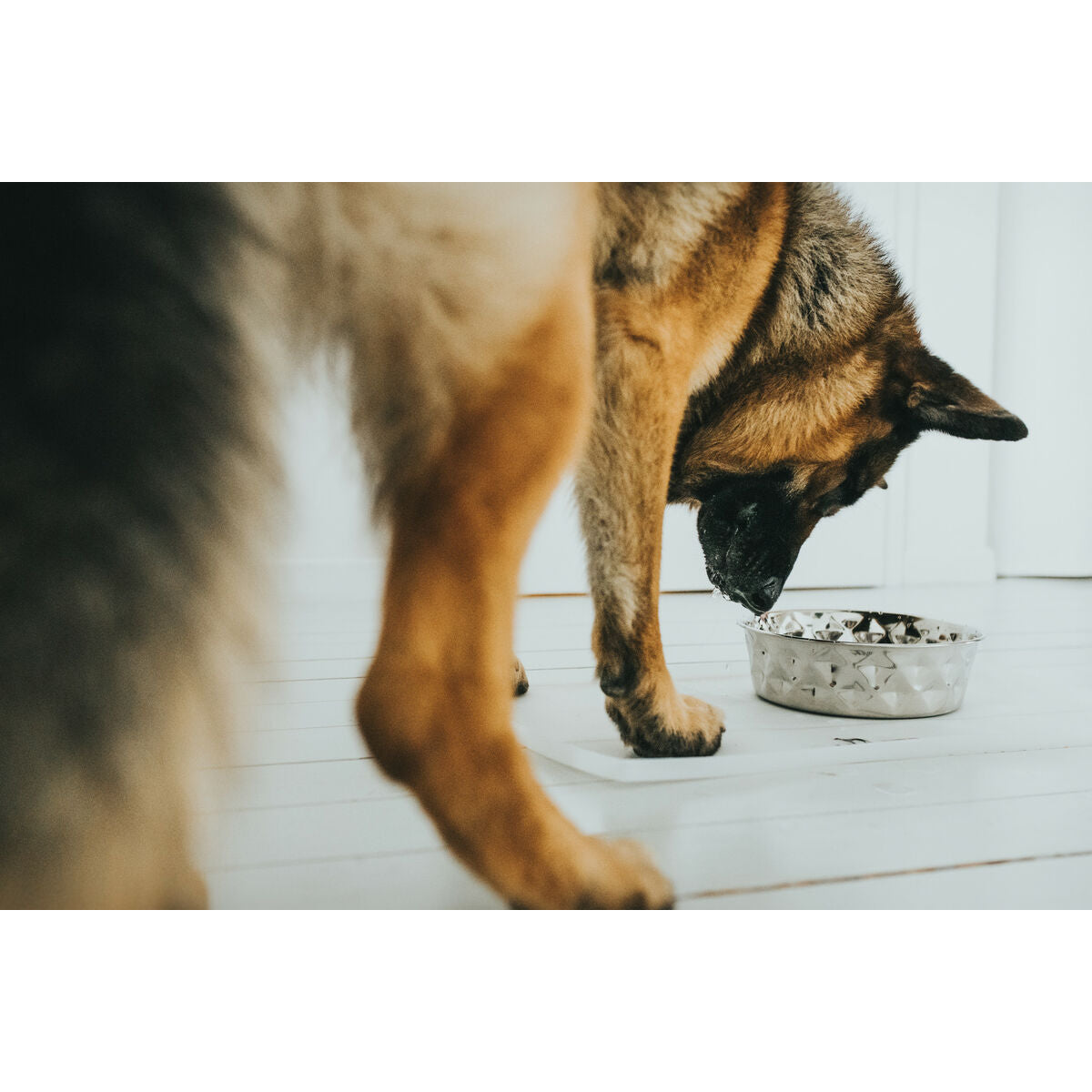 V6H1836F98BE08ECCA75F368AB29BED3073R4438169P5