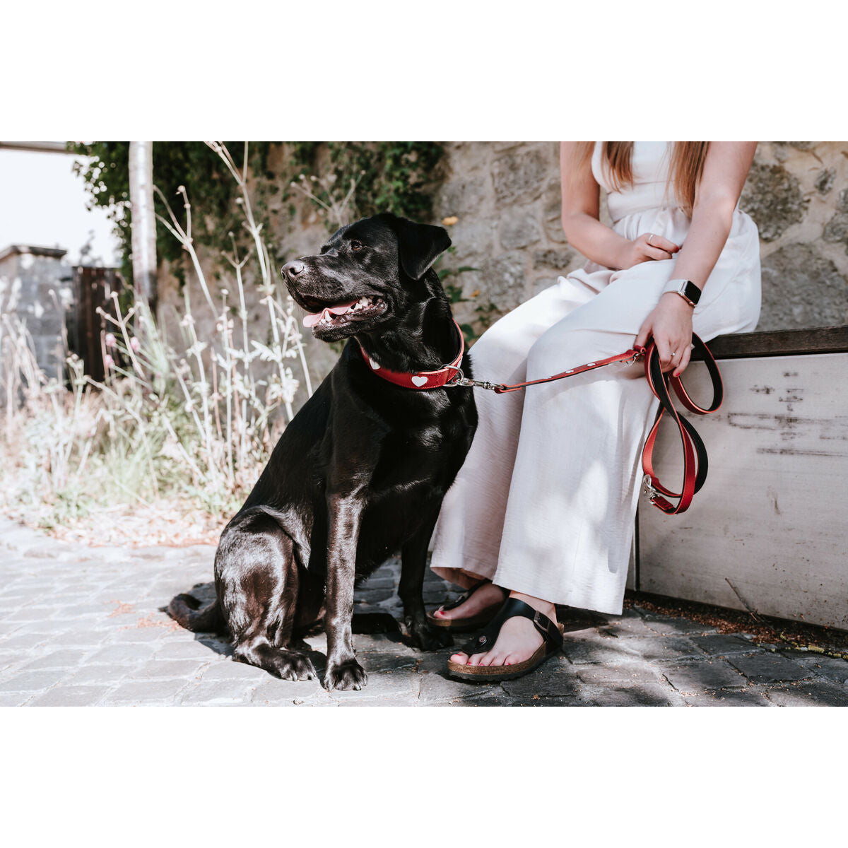 V6H0EAE62D8627A54364F14DBD59C6B5F2BR4393779P3