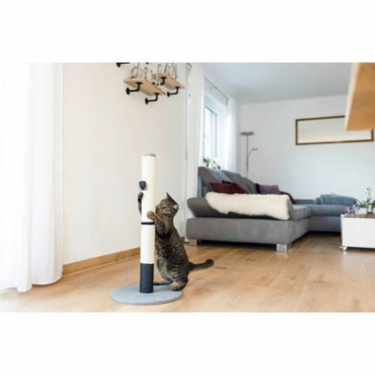 V4H9B1FC00B2AB9F081C486A85085AE6D77R5763411P4