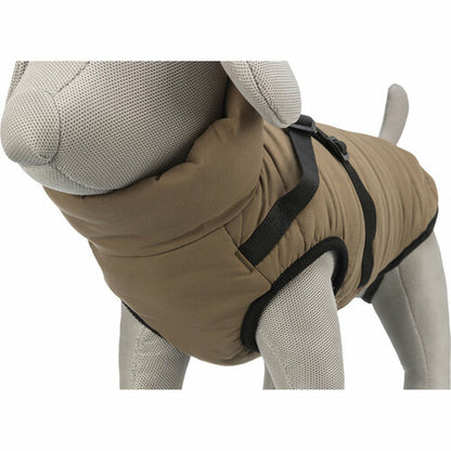 V7H75F057D4DAE7AD925693723D71C5E647R7461402P10