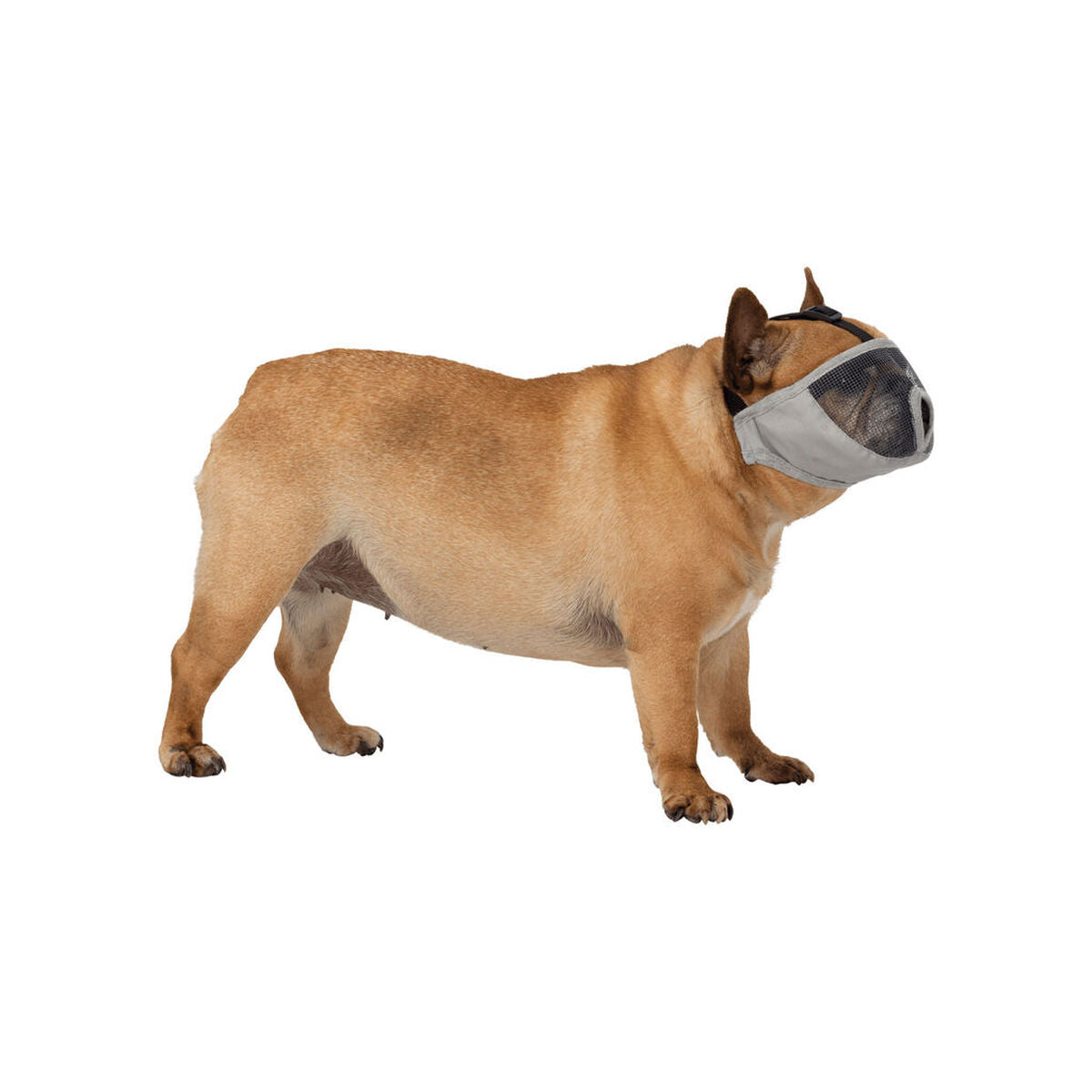 V7H0E0DEA8EAFEBB7CF1BD64521706C927DR7442430P3