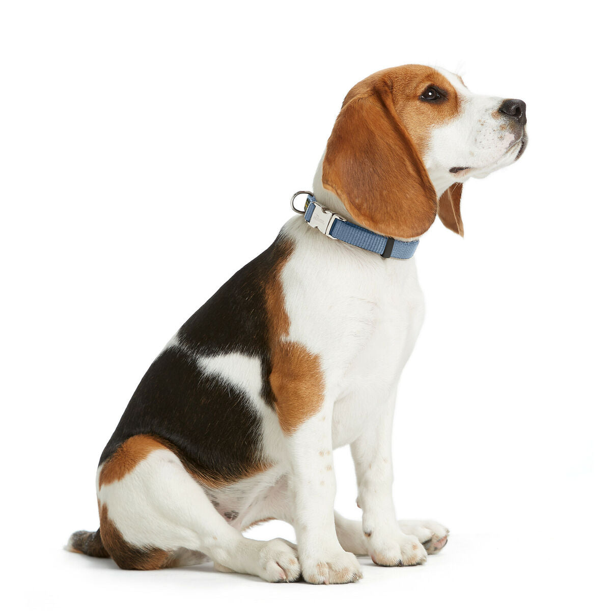 V4H58DB52759916AE03647876A6130F1AE7R5582614P2