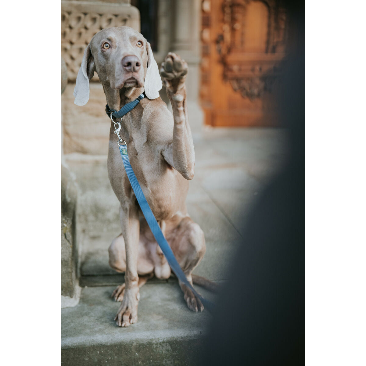 V4H522BA3E1087093E0CB098FC8878552F5R5584344P4