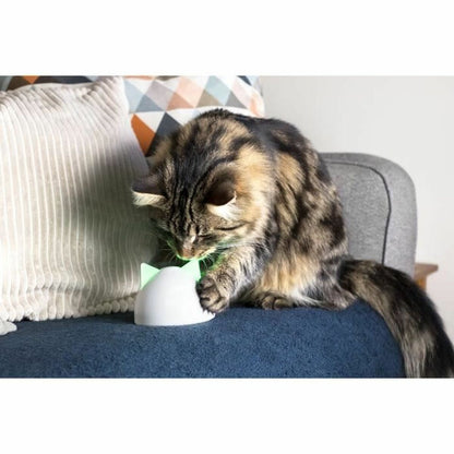 V8H1BDC6716293BC65F4D66B6769804C1FCR5304064P5