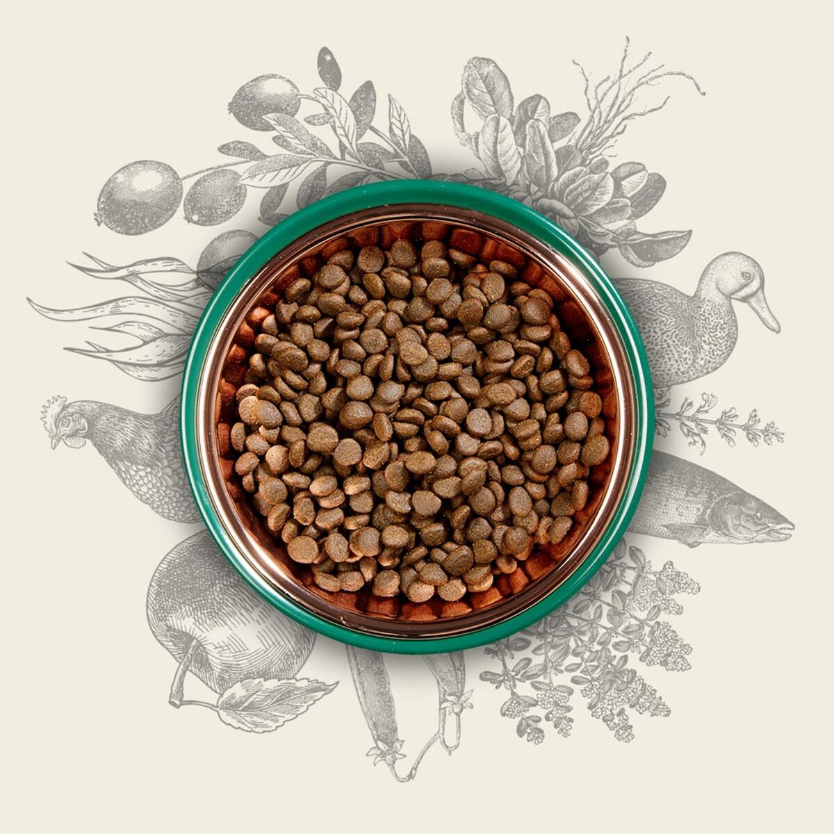 V4H012F617F635A9521386C21175BAD4B08R5624064P4