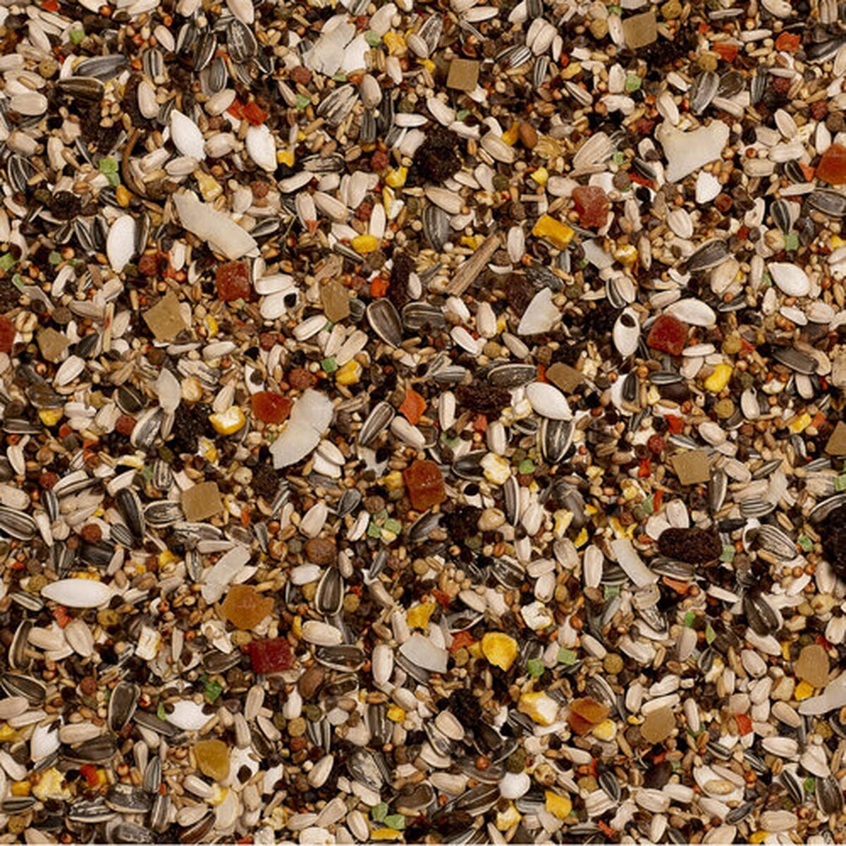 V7HE2F0E4659396CA303DB3F4753A8F20B2R7444040P4