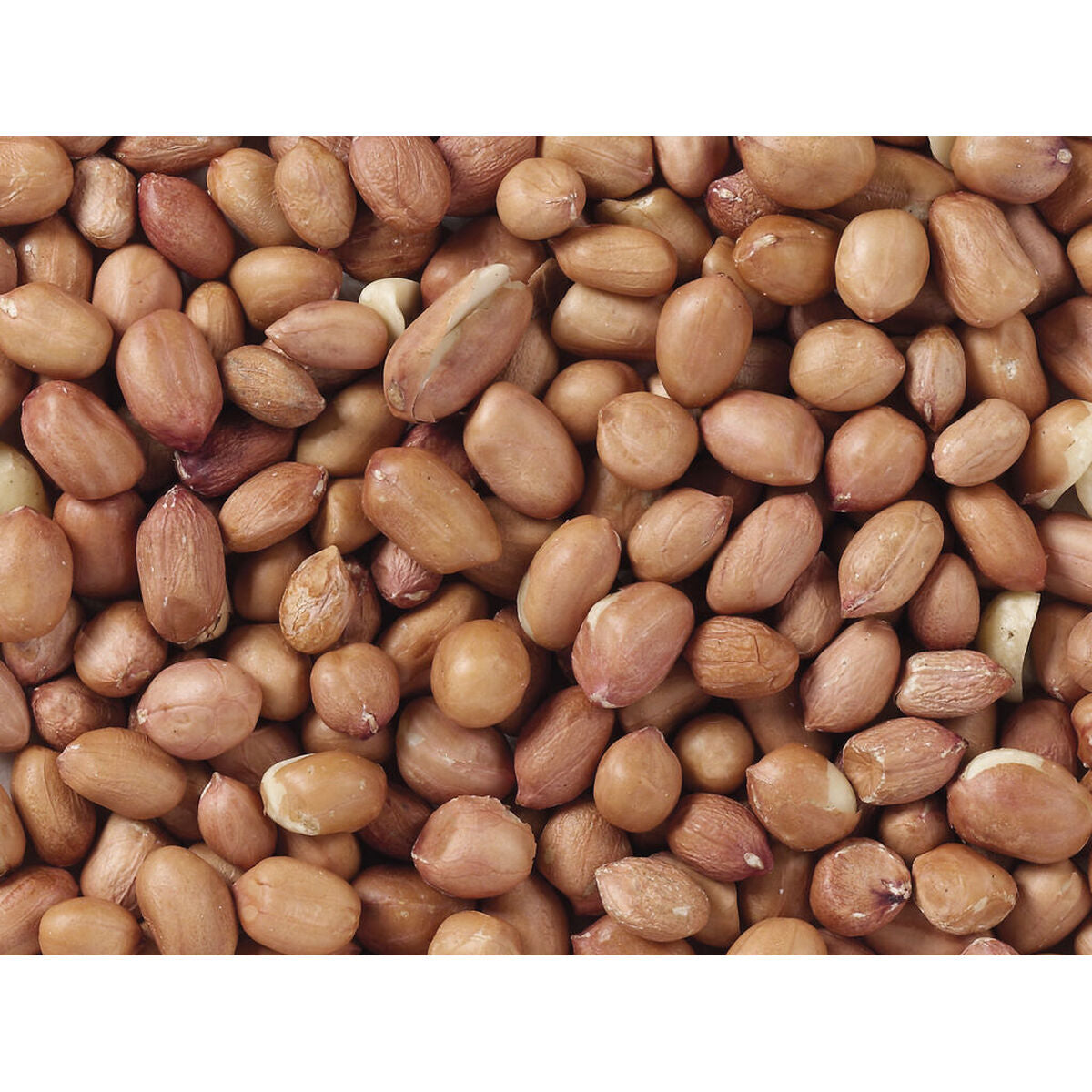 V5H1A37A2862DBBCCB9820CD8D06C0EF507R7449972P3