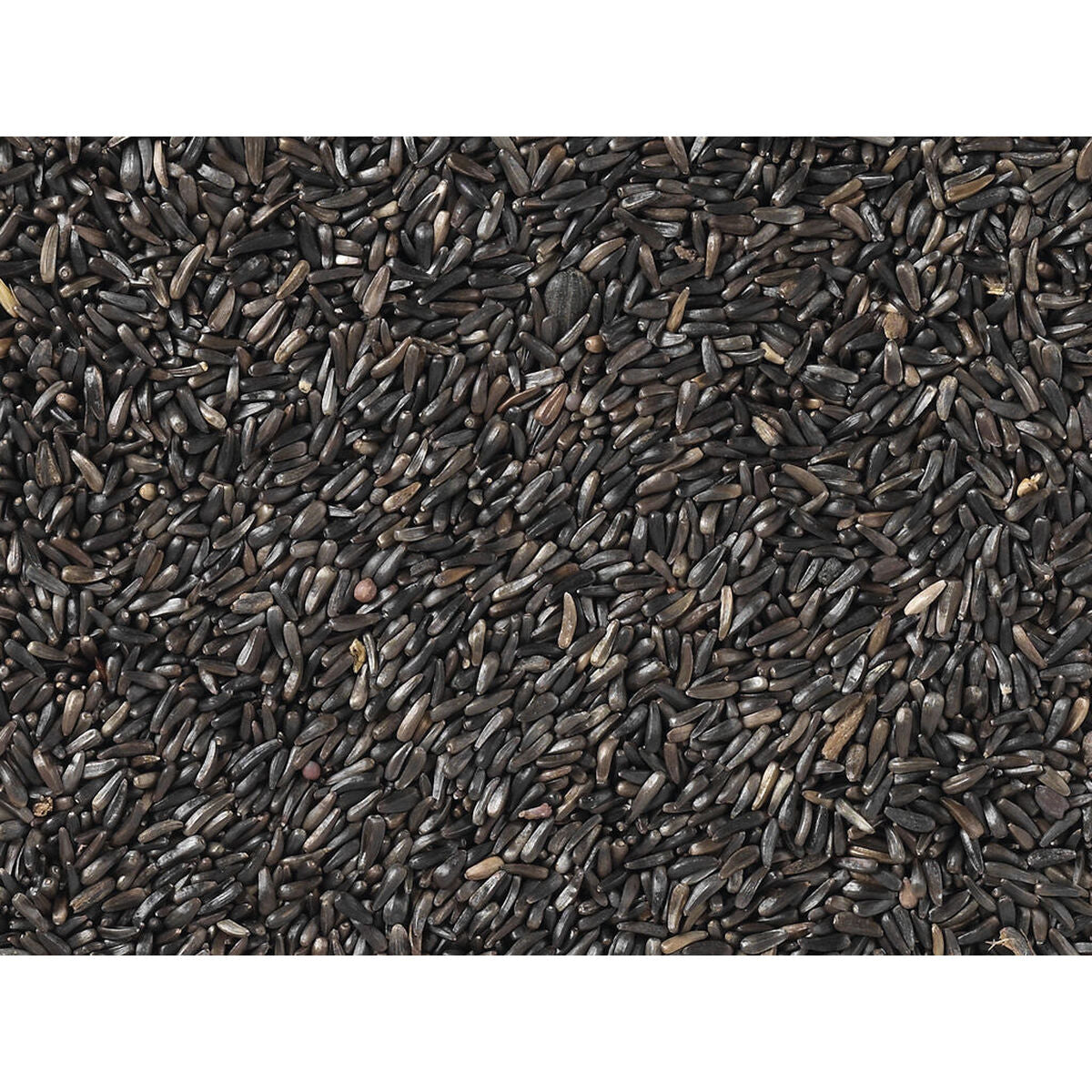 V7H22648DA9AAD5DE7D0A50C4C69AEB4CBFR7450030P3