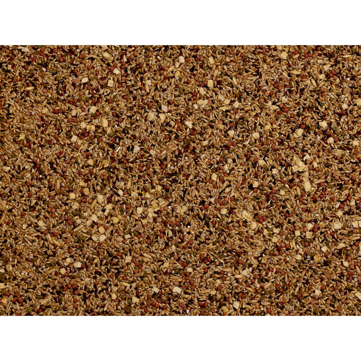 V5H920ACB3C00A81CA6D56B368C82575377R7450324P3