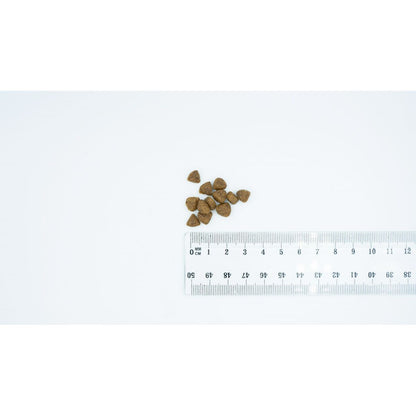 V4H05387CF593CA3A0FB79DDBFD795B5E53R6200903P2