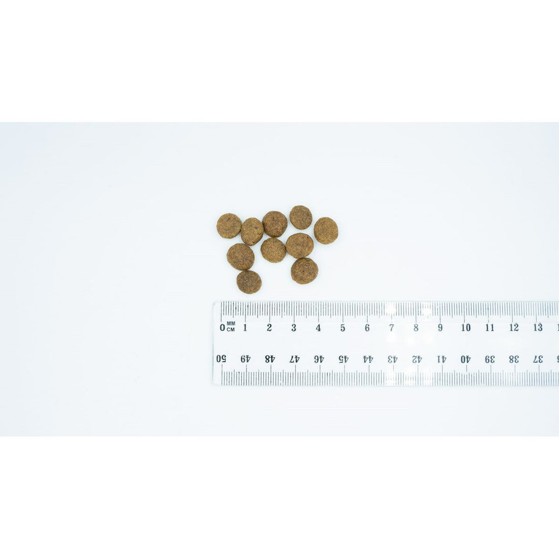 V4H800F0B6ECFCF484BCC57129F65E9891BR6201055P2