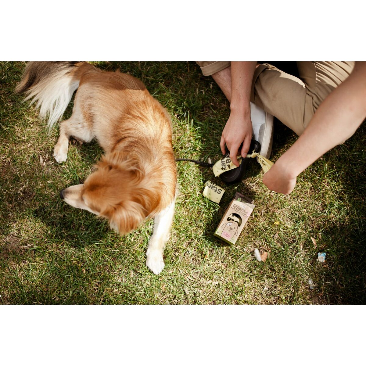 V5H342D90A9E352269B9BE9E57837F0FF85R5301589P8