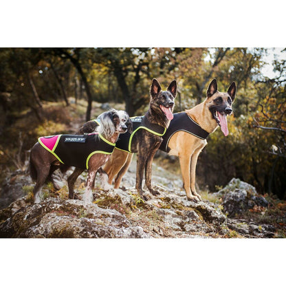 V7H40232FB6CEDCF54087653F620EEDCC81R7445364P5