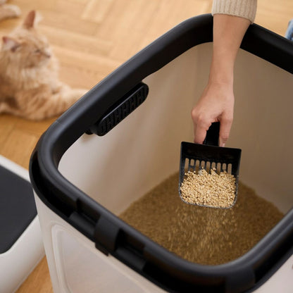 V4HBE2C3BCE5AB134103BA55AE7D326D6BER5624130P6