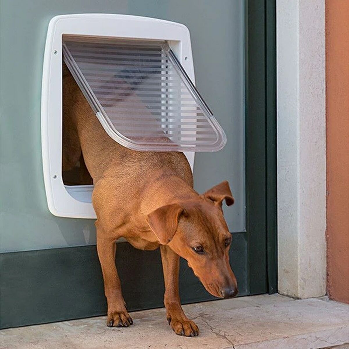 V5H5BB673E073E01E57C9E413345A04AF55R4433867P5