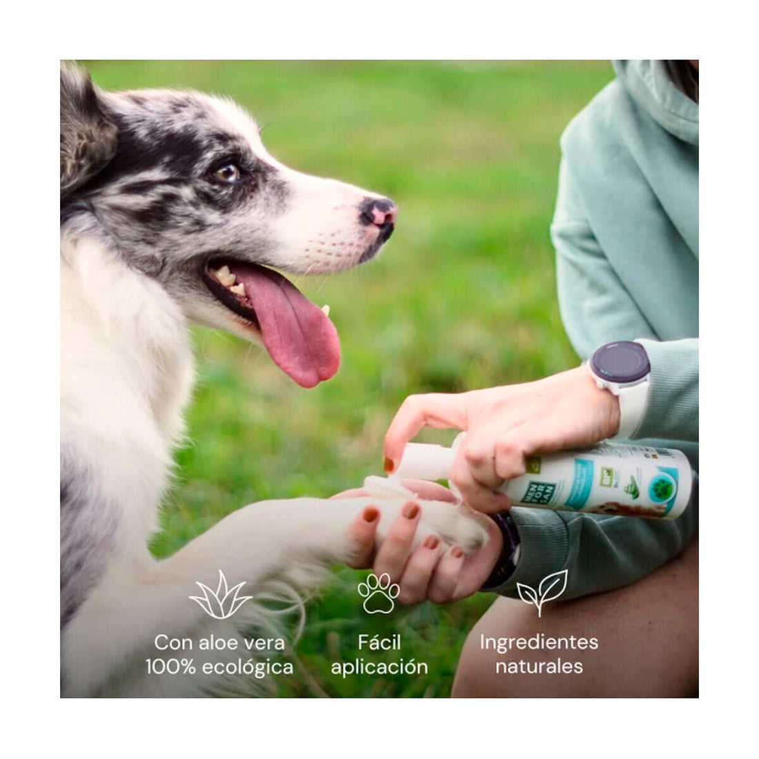 V4HD02F79561D527958193D66F60C609FA5R5717542P2