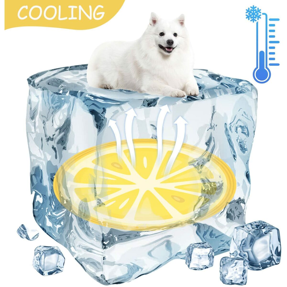 V3HD11AE951531071BB0EAF21C49A8AD5A5R7185962P7