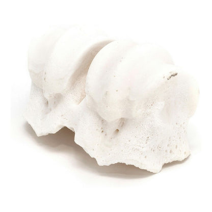 V10HED0B4C38EE8532FA23B93A47B1DCA0BER3891368P2