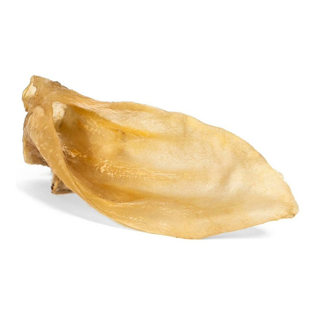 V12H37937DF502C967D5F9D211D51F3D26B2R3725547P1