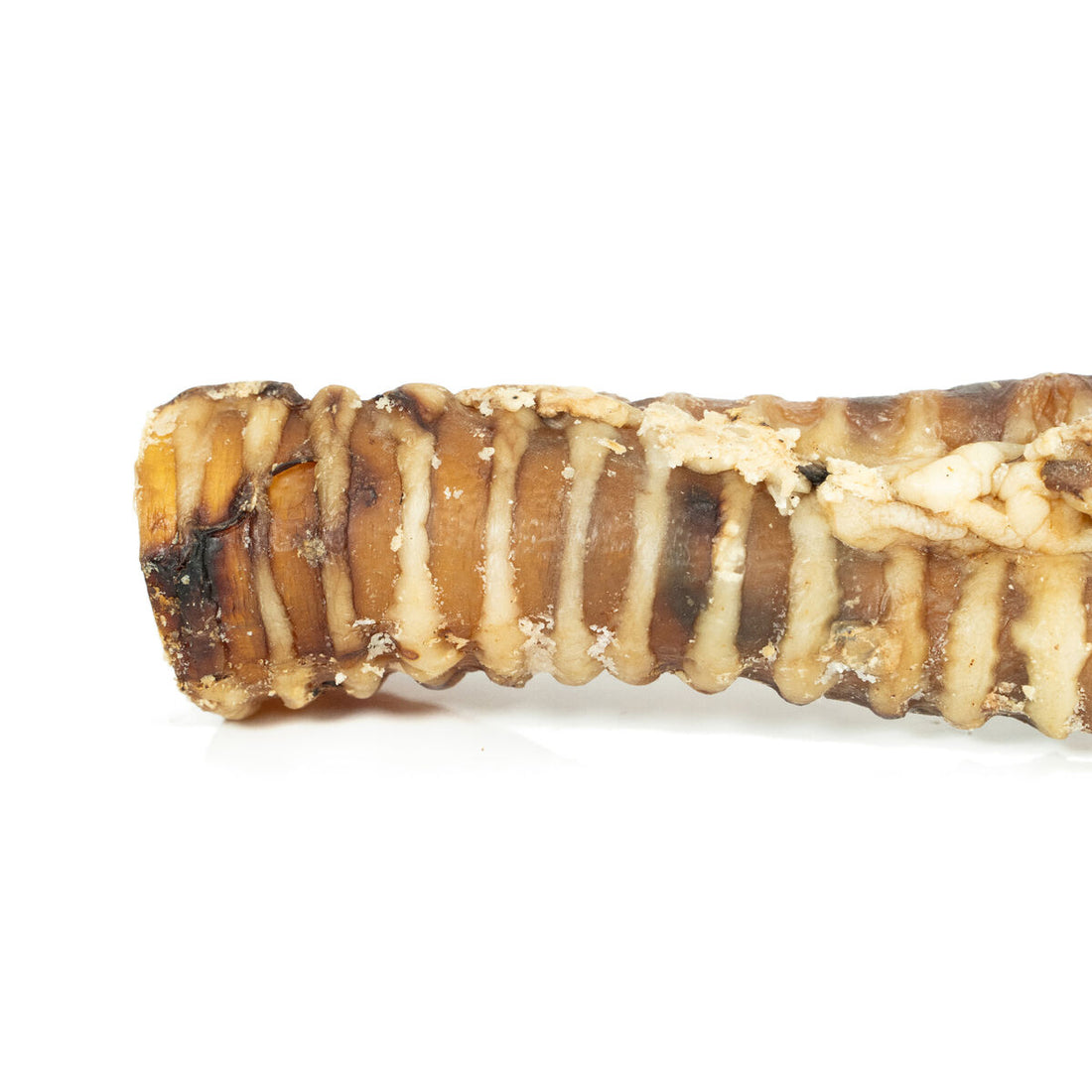 V6HE8FB61C03B25AE2B7AF6A77B0D2455E0R4975263P4