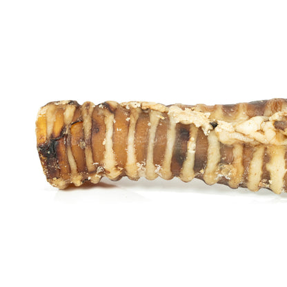 V5HE8FB61C03B25AE2B7AF6A77B0D2455E0R4975263P4