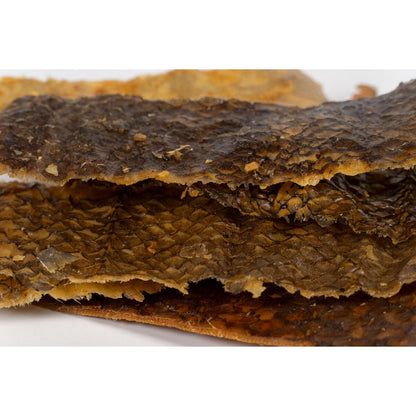 V4H0A963D43AB27DEF28491E41C1CB592C9R5292975P5