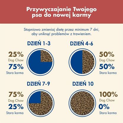 V5H8B1C8E96BE8DD9F6A84049539268926AR5061126P2