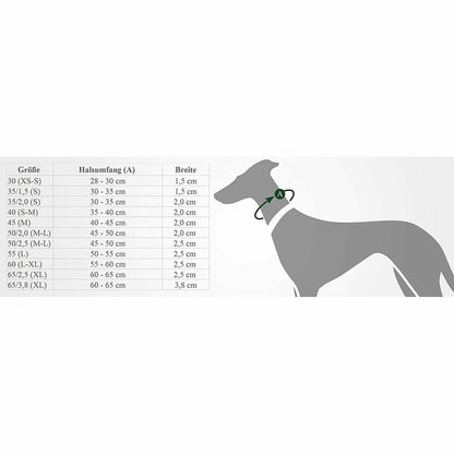 V9HABD9AD281D20FC527E92F2239F66E45AR4989219P2