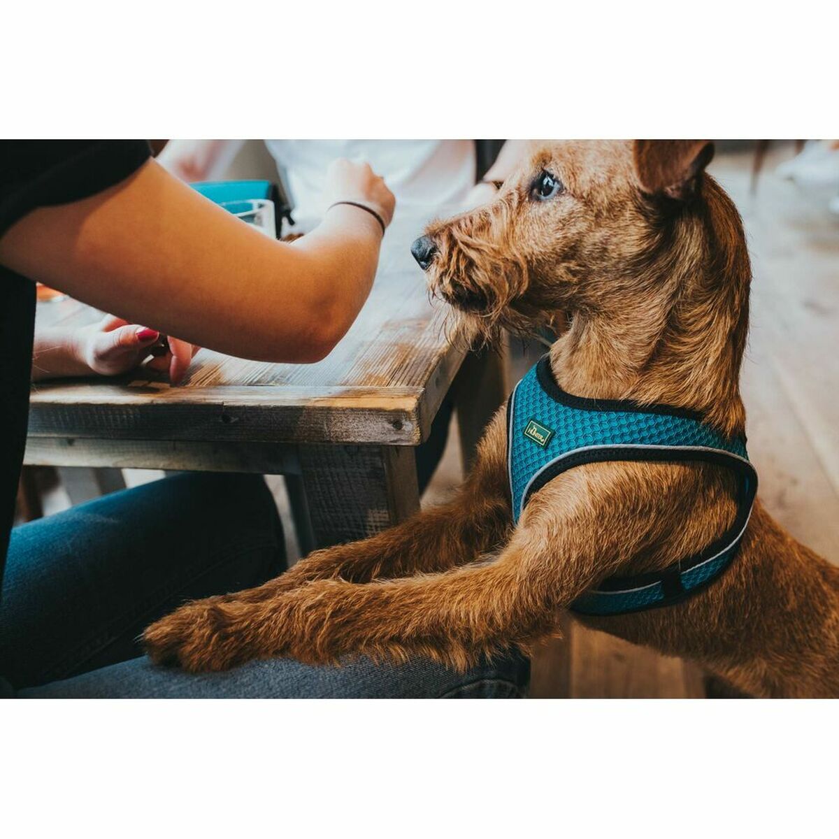 V10H0DDCB6D9BDE220D93B8AAB4AAD586175R3618788P2